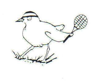 Kiwiettennis Kiwiettennis